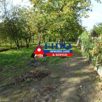 Terreno agricolo di 1.000 mq con casotto