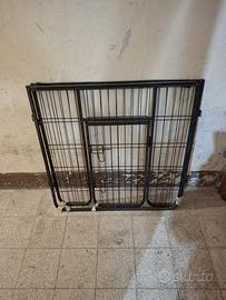 Kennel per cani