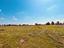 Immagine 22