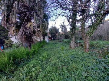 Villetta indipendente con giardino di 1.600 mq