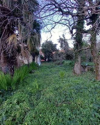 Villetta indipendente con giardino di 1.600 mq