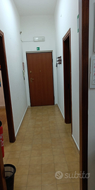 Ampio ufficio ad uso professionale