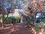 Immagine 26