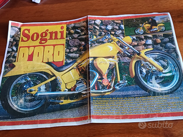 Harley Davidson softail