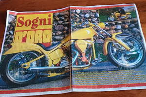 Harley Davidson softail