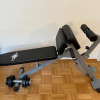 Panca Piana Professionale + Manubrio regolabile