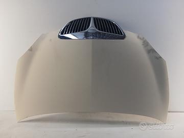 Cofano LANCIA YPSILON '03