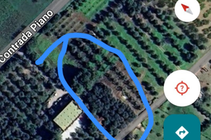 Terreno oliveto classe 2