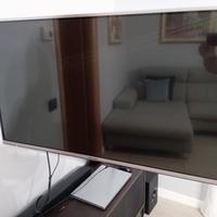 TV Panasonic 45 Pollici Smart TV.