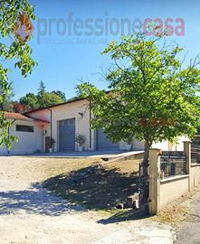 Magazzino Frosinone [cod. rif6045526VCG]