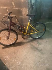 Bici da 24