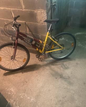 Bici da 24