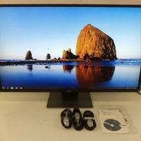 Monitor Dell P4317Q 43" 4K UHD LED