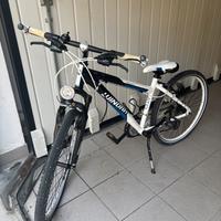 Bici da mountain bike e città