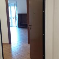Pressi viale Trento bivano Da aprile Lungo periodo