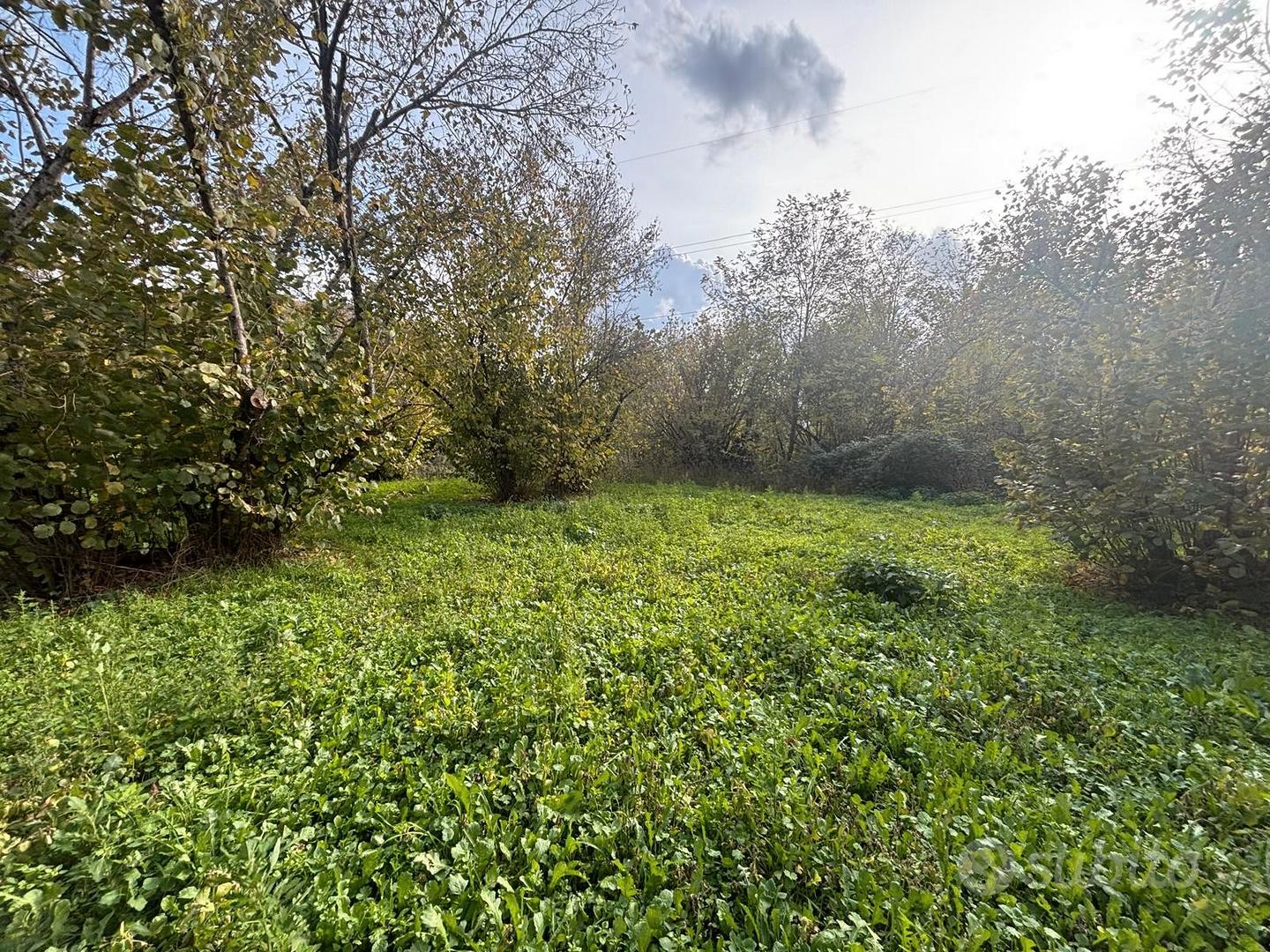 Terreno agricolo ideale per pic nic - View 4