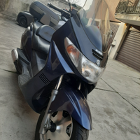 Suzuki Burgmann 250