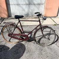 Bicicletta Raleigh
