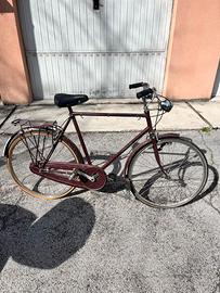 Bicicletta Raleigh
