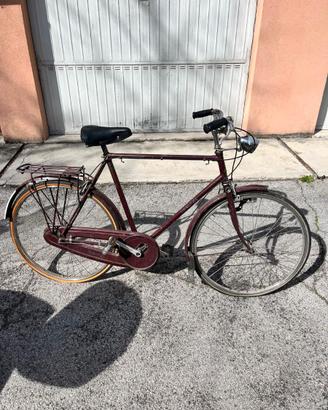 Bicicletta Raleigh