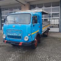 Autocarro lupetto