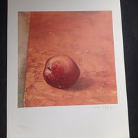 VITO  TOGNOLI  (PER  BOLAFFIARTE N° 26)