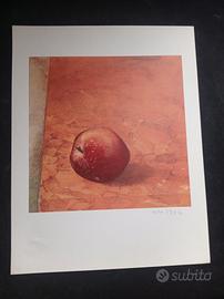 VITO  TOGNOLI  (PER  BOLAFFIARTE N° 26)