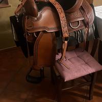 Sella americana| Natowa