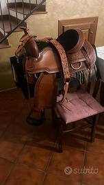 Sella americana| Natowa