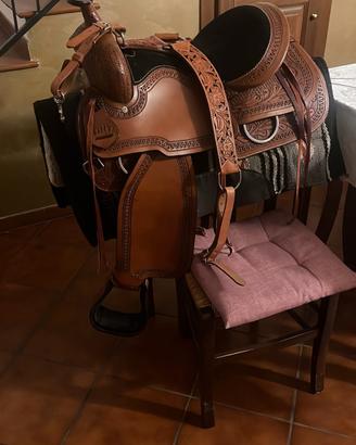 Sella americana| Natowa