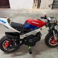 MINIMOTO TROFEO 49CC come nuova