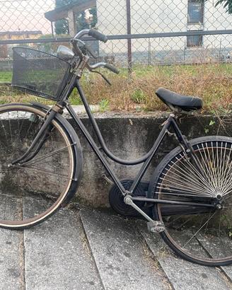 biciclette uomo donna
