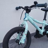 Bici scott contessa 14