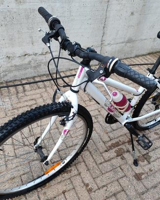 bicicletta da ragazza