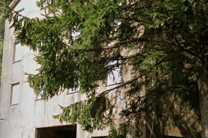 Casa indipendente da ristrutturare