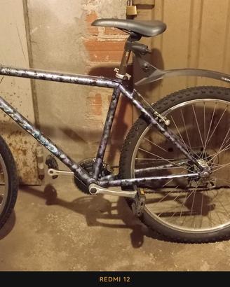 bicicletta 