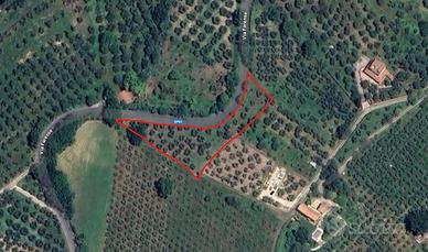 Terreno m² 3.000 con ulivi - Fara in Sabina (RI)