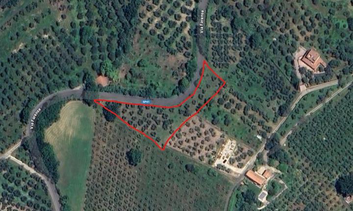Terreno m² 3.000 con ulivi - Fara in Sabina (RI)