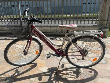 Bicicletta