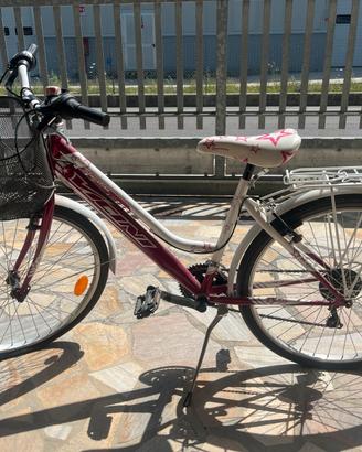 Bicicletta
