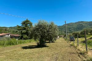 Terreno agricolo