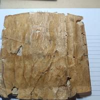 libro antico manoscritto 1824