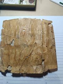 libro antico manoscritto 1824