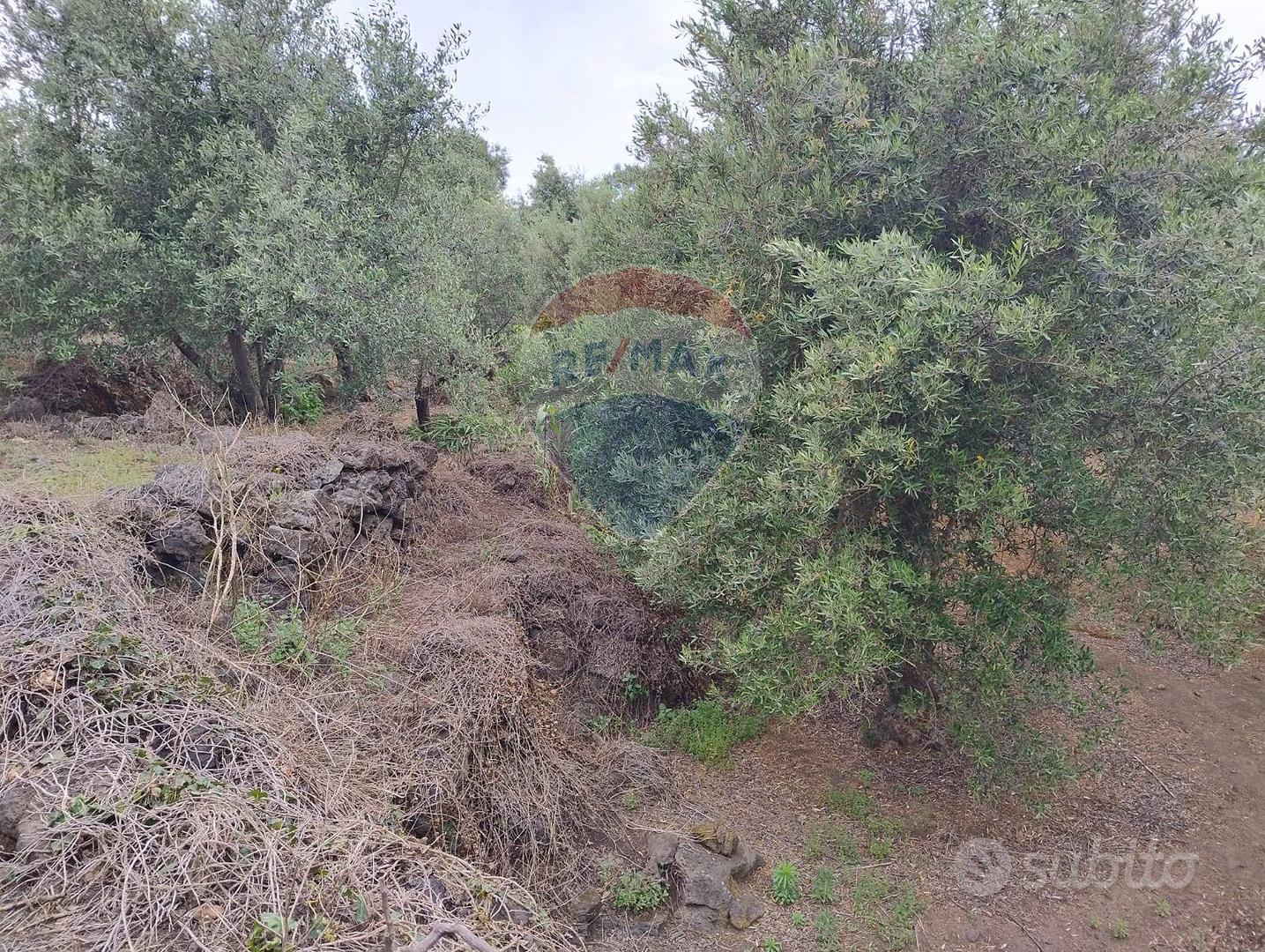 Terreno - Catania - Vista 3