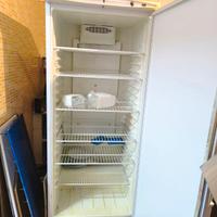 frigorifero professionale 640l