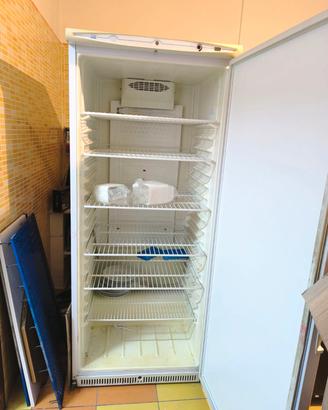 frigorifero professionale 640l