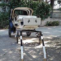 Carrozza
