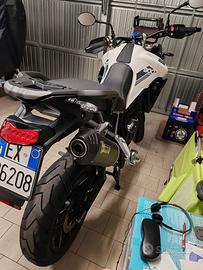 triumph tiger 900 tally