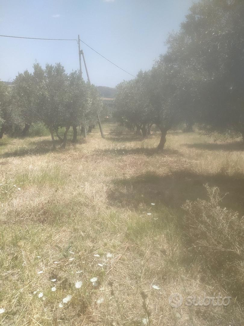Terreno Agricolo e Intercluso. - Vista 5