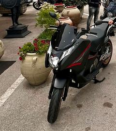 Immacolata honda integra 750s